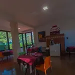 Oda ve Kahvaltı Paradise Beb