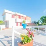 Oda ve Kahvaltı Paradise Beb 3*