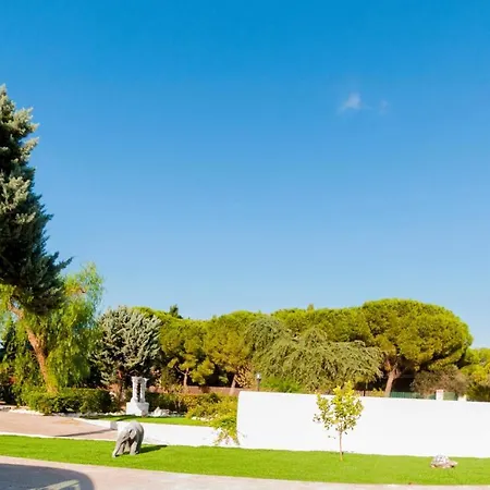 Paradise Beb 3* Giovinazzo