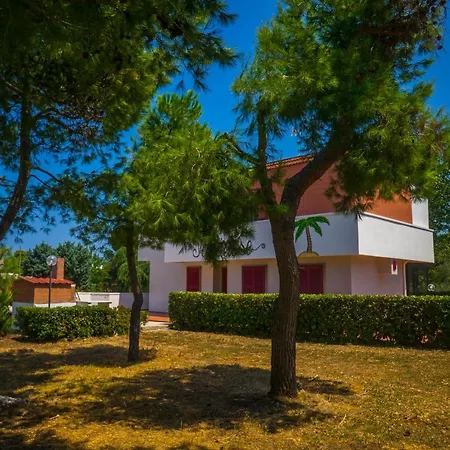 Paradise Beb Bed & Breakfast Giovinazzo