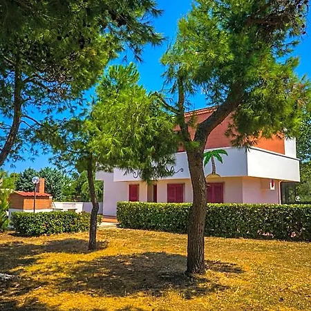 Paradise Beb Bed & Breakfast 3*