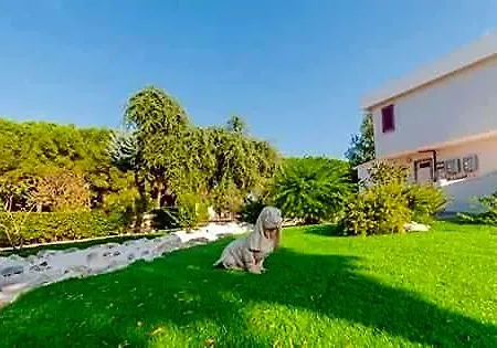 Paradise Beb
